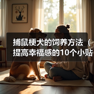 捕鼠梗犬的饲养方法（提高幸福感的10个小贴士）（图2）
