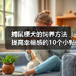 捕鼠梗犬的饲养方法（提高幸福感的10个小贴士）（图4）