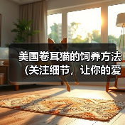 美国卷耳猫的饲养方法(关注细节,让你的爱猫更健康)(图4) 美国卷耳猫的饲养方法(关注细节,让你的爱猫更健康)(图4)
