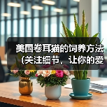 美国卷耳猫的饲养方法（关注细节，让你的爱猫更健康）