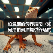 伯曼猫的饲养指南（如何给伯曼猫提供舒适的生活环境）（图4）