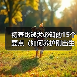 初养比熊犬必知的15个要点（如何养护刚出生的比熊犬，让它成为你的最佳伴侣？）（图2）