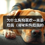 为什么狗狗喜欢一直添后面(揭秘狗狗后面的行为习惯,探寻它们内心的真正想法)(图2) 为什么狗狗喜欢一直添后面(揭秘狗狗后面的行为习惯,探寻它们内心的真正想法)(图2)