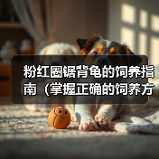 粉红圈锯背龟的饲养指南（掌握正确的饲养方法，让你的粉红圈锯背龟健康成长）（图4）