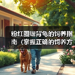 粉红圈锯背龟的饲养指南（掌握正确的饲养方法，让你的粉红圈锯背龟健康成长）（图3）