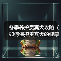 冬季养护贵宾犬攻略(如何保护贵宾犬的健康和舒适)(图3) 冬季养护贵宾犬攻略(如何保护贵宾犬的健康和舒适)(图3)