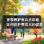 冬季养护贵宾犬攻略(如何保护贵宾犬的健康和舒适)(图1) 冬季养护贵宾犬攻略(如何保护贵宾犬的健康和舒适)(图1)