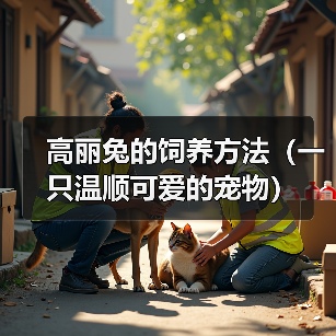 高丽兔的饲养方法（一只温顺可爱的宠物）（图2）