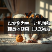 以宠物为主，让凯利蓝梗身体健康（以宠物为主，让凯利蓝梗身体健康）（图4）