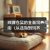 熊猫仓鼠的全面饲养指南（从选购到饲养，一步步教你养好你的宠物熊猫仓鼠）（图2）
