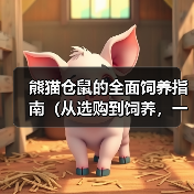 熊猫仓鼠的全面饲养指南（从选购到饲养，一步步教你养好你的宠物熊猫仓鼠）（图3）