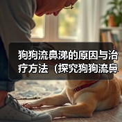 狗狗流鼻涕的原因与治疗方法(探究狗狗流鼻涕的原因以及如何帮助狗狗缓解鼻塞)(图4) 狗狗流鼻涕的原因与治疗方法(探究狗狗流鼻涕的原因以及如何帮助狗狗缓解鼻塞)(图4)
