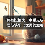 拥有比格犬,享受无尽爱与快乐(优秀的宠物,从一只忠诚的比格犬开始)(图4) 拥有比格犬,享受无尽爱与快乐(优秀的宠物,从一只忠诚的比格犬开始)(图4)