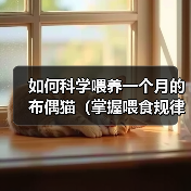 如何科学喂养一个月的布偶猫（掌握喂食规律，让宠物更健康）（图4）