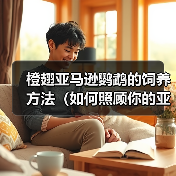 橙翅亚马逊鹦鹉的饲养方法（如何照顾你的亚马逊鹦鹉）