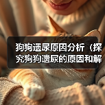 狗狗遗尿原因分析（探究狗狗遗尿的原因和解决方法）