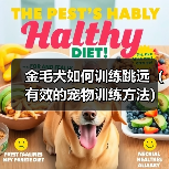 金毛犬如何训练跳远(有效的宠物训练方法)(图2) 金毛犬如何训练跳远(有效的宠物训练方法)(图2)