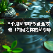 5个月萨摩耶饮食全攻略（如何为你的萨摩耶提供营养均衡的饮食）