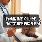 狗狗消化系统的特性（探究宠物狗的饮食规律及消化过程）