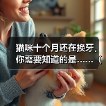 猫咪十个月还在换牙,你需要知道的是……(了解猫咪的换牙期,保护它们的口腔健康)(图1) 猫咪十个月还在换牙,你需要知道的是……(了解猫咪的换牙期,保护它们的口腔健康)(图1)