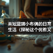 英短蓝猫小布偶的日常生活(探秘这个优雅又可爱的蓝色小猫咪的生活点滴)(图3) 英短蓝猫小布偶的日常生活(探秘这个优雅又可爱的蓝色小猫咪的生活点滴)(图3)
