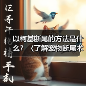 以柯基断尾的方法是什么?(了解宠物断尾术,保护你的柯基宝贝)(图3) 以柯基断尾的方法是什么?(了解宠物断尾术,保护你的柯基宝贝)(图3)