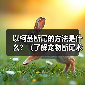 以柯基断尾的方法是什么?(了解宠物断尾术,保护你的柯基宝贝)(图4) 以柯基断尾的方法是什么?(了解宠物断尾术,保护你的柯基宝贝)(图4)