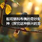 起司猫和布偶的奇妙配种（探究这种新兴的宠物品种和人们对它的热情）