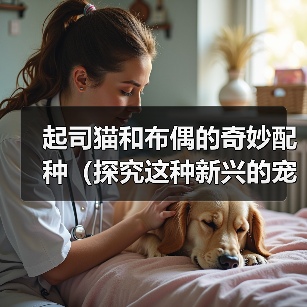 起司猫和布偶的奇妙配种(探究这种新兴的宠物品种和人们对它的热情)(图2) 起司猫和布偶的奇妙配种(探究这种新兴的宠物品种和人们对它的热情)(图2)