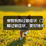 宠物狗狗过敏症状（了解过敏症状，更好地关爱宠物）