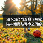 猫咪绝育与寿命(探究猫咪绝育与寿命之间的关系,让主人更明智地抉择)(图4) 猫咪绝育与寿命(探究猫咪绝育与寿命之间的关系,让主人更明智地抉择)(图4)