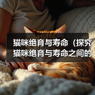 猫咪绝育与寿命(探究猫咪绝育与寿命之间的关系,让主人更明智地抉择)(图3) 猫咪绝育与寿命(探究猫咪绝育与寿命之间的关系,让主人更明智地抉择)(图3)