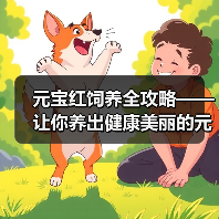 元宝红饲养全攻略——让你养出健康美丽的元宝红(从选购到养护,一步步教你打造完美元宝红水族箱)(图2) 元宝红饲养全攻略——让你养出健康美丽的元宝红(从选购到养护,一步步教你打造完美元宝红水族箱)(图2)