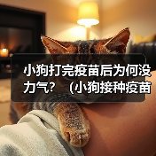 小狗打完疫苗后为何没力气?(小狗接种疫苗后的不适症状及应对方法)(图4) 小狗打完疫苗后为何没力气?(小狗接种疫苗后的不适症状及应对方法)(图4)