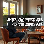 如何为你的萨摩耶增肥?(萨摩耶增肥饮食指南,让你的宠物更健康。)(图2) 如何为你的萨摩耶增肥?(萨摩耶增肥饮食指南,让你的宠物更健康。)(图2)