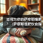 如何为你的萨摩耶增肥？（萨摩耶增肥饮食指南，让你的宠物更健康。）