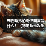 宠物睡觉的奇怪叫声是什么？（狗狗睡觉发出的叫声是什么样的？——探究宠物睡眠中的神秘行为）