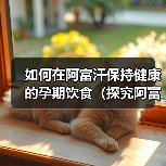 如何在阿富汗保持健康的孕期饮食（探究阿富汗孕妇饮食习惯与需求，让您的宝宝更加健康）