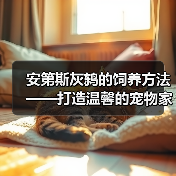 安第斯灰鸫的饲养方法——打造温馨的宠物家园(从生活习性到饲养技巧,全方位解析安第斯灰鸫的养殖要点)(图2) 安第斯灰鸫的饲养方法——打造温馨的宠物家园(从生活习性到饲养技巧,全方位解析安第斯灰鸫的养殖要点)(图2)