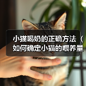 小猫喝奶的正确方法(如何确定小猫的喂养量?)(图2) 小猫喝奶的正确方法(如何确定小猫的喂养量?)(图2)