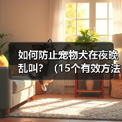 如何防止宠物犬在夜晚乱叫？（15个有效方法让你的宠物犬安静一夜）