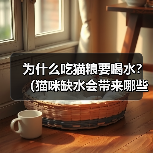 为什么吃猫粮要喝水？（猫咪缺水会带来哪些危害？）（图3）