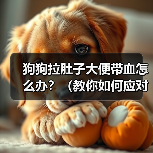 狗狗拉肚子大便带血怎么办?(教你如何应对犬只消化系统问题)(图3) 狗狗拉肚子大便带血怎么办?(教你如何应对犬只消化系统问题)(图3)