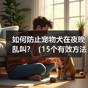 如何防止宠物犬在夜晚乱叫?(15个有效方法让你的宠物犬安静一夜)(图4) 如何防止宠物犬在夜晚乱叫?(15个有效方法让你的宠物犬安静一夜)(图4)