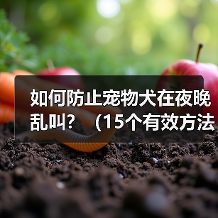 如何防止宠物犬在夜晚乱叫?(15个有效方法让你的宠物犬安静一夜)(图2) 如何防止宠物犬在夜晚乱叫?(15个有效方法让你的宠物犬安静一夜)(图2)