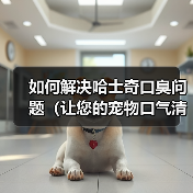 如何解决哈士奇口臭问题（让您的宠物口气清新自然）
