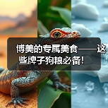 博美的专属美食——这些牌子狗粮必备!(图3) 博美的专属美食——这些牌子狗粮必备!(图3)