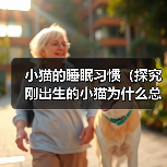 小猫的睡眠习惯（探究刚出生的小猫为什么总在睡觉）