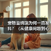 宠物雪纳瑞为何一直发抖？（从健康问题到心理原因，揭秘发抖背后的真相）