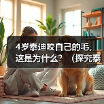 4岁泰迪咬自己的毛,这是为什么?(探究泰迪咬毛的原因及解决方法)(图3) 4岁泰迪咬自己的毛,这是为什么?(探究泰迪咬毛的原因及解决方法)(图3)